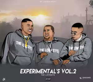 The Lowkeys 012 - Experimentals Vol.2